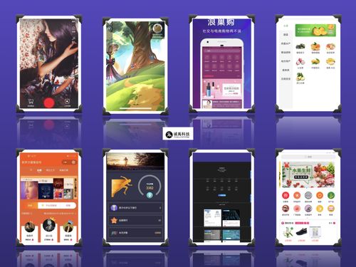 廈門小程序開發(fā) 泉州app開發(fā) 微信開發(fā) 軟件開發(fā) 軟件外包