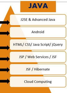 關于大學軟件工程 外包 分方向的問題